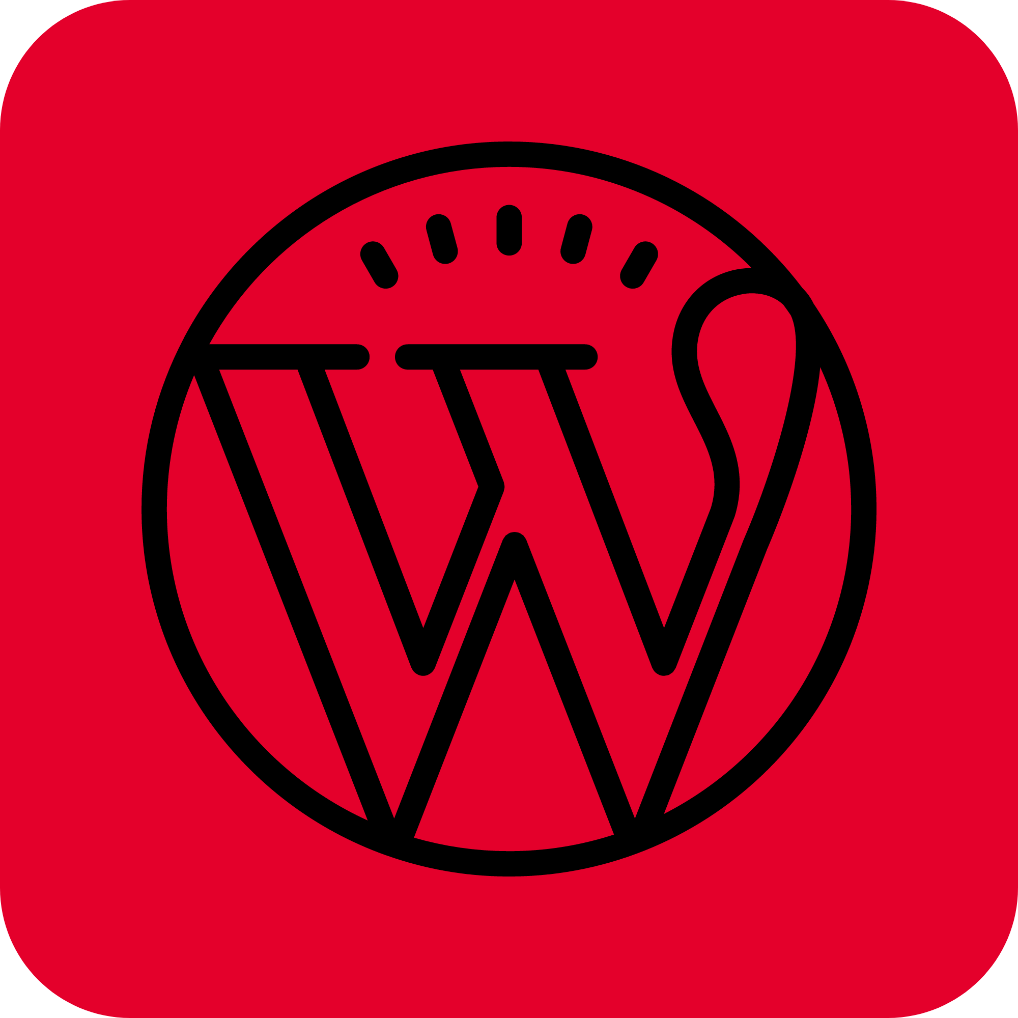 Get cPanel Reseller Hosting in Australia and
               easily install WordPress, Joomla! and Magento.