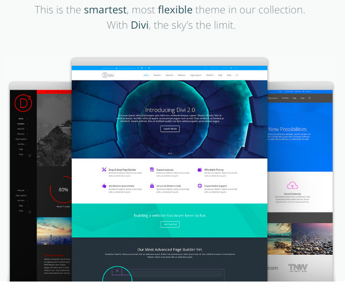 Divi WordPress theme